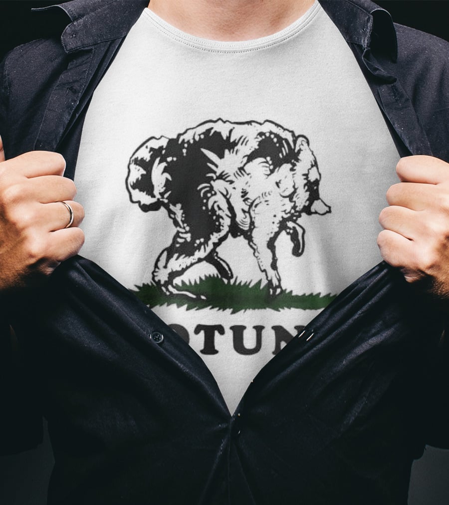 Rotund Jimothy Bear Flag T-Shirt