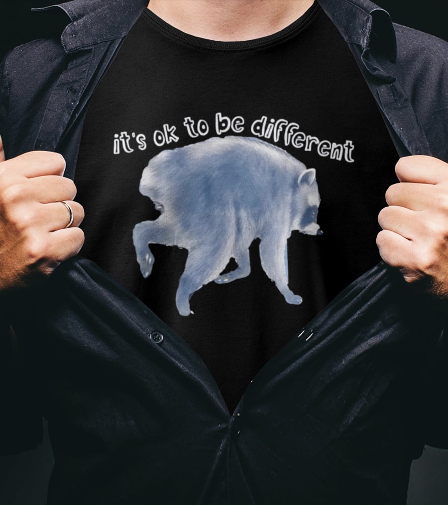 It's OK To Be Different Jimothy Raccoon T-Shirt