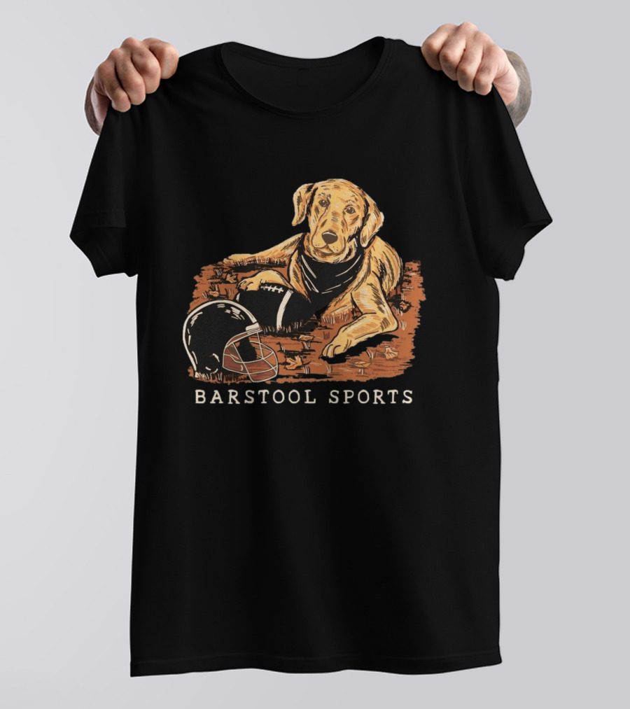Barstool Sports Fall Football Dog With Helmet And Leaves T-Shirt