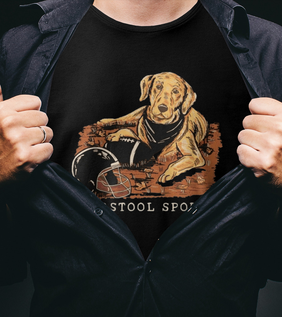 Barstool Sports Fall Football Dog With Helmet And Leaves T-Shirt