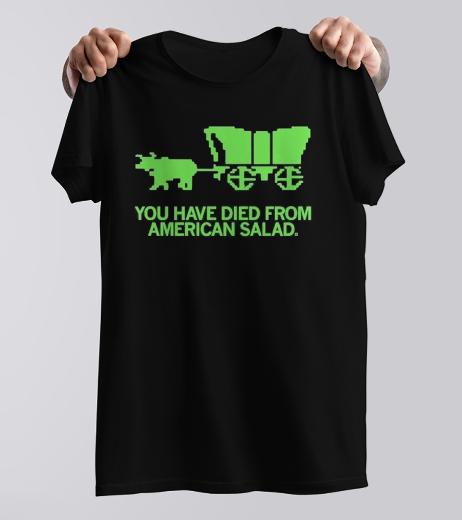 You Have Died From American Salad Ox Cart Retro Gaming Spoof T-Shirt