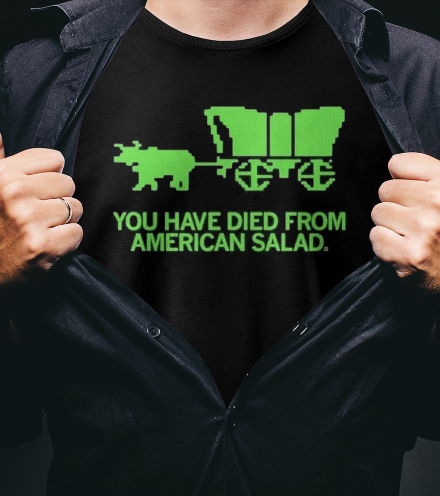 You Have Died From American Salad Ox Cart Retro Gaming Spoof T-Shirt