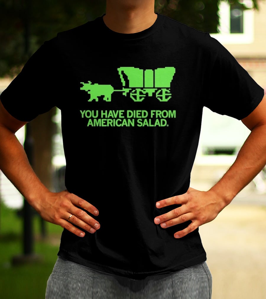 You Have Died From American Salad Ox Cart Retro Gaming Spoof T-Shirt