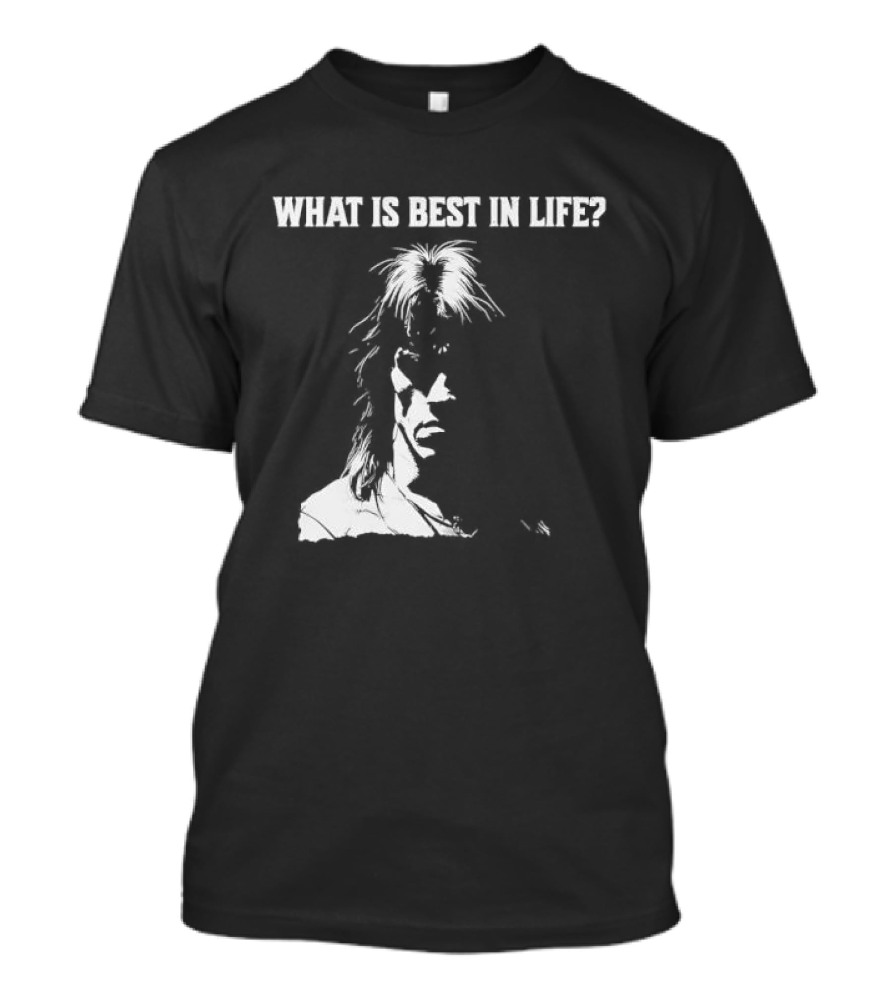 What Is Best In Life Conan The Barbarian T-Shirt