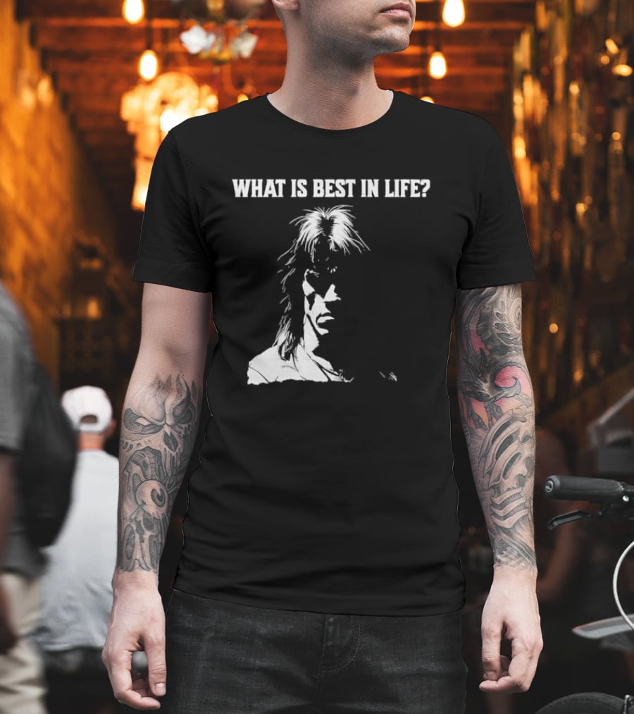 What Is Best In Life Conan The Barbarian T-Shirt