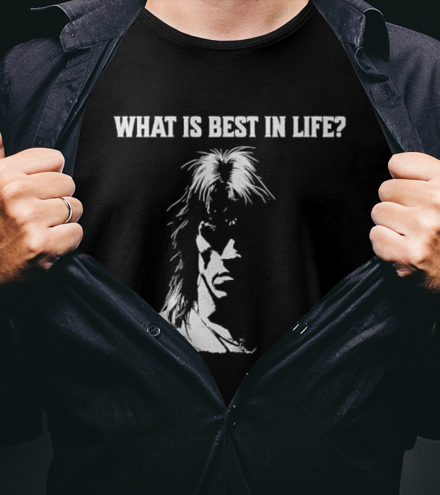 What Is Best In Life Conan The Barbarian T-Shirt