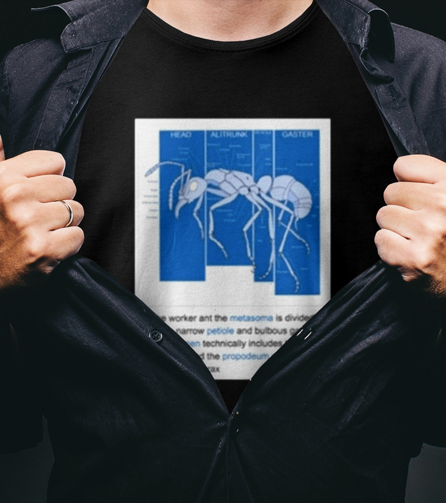 Head Alitrunk Gaster Metasoma Petiole Anatomy Of An Ant T-Shirt