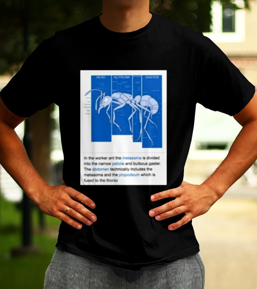 Head Alitrunk Gaster Metasoma Petiole Anatomy Of An Ant T-Shirt