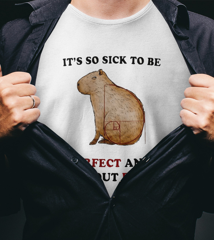 Capybara It's So Sick To Be Perfect And Without Flaws Fibonacci Spiral T-Shirt