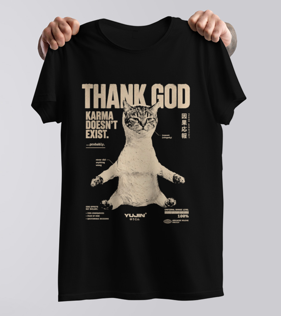 Thank God Karma Doesn't Exist Probably Cat Drawing Yijun Studio Percent Diagram T-Shirt