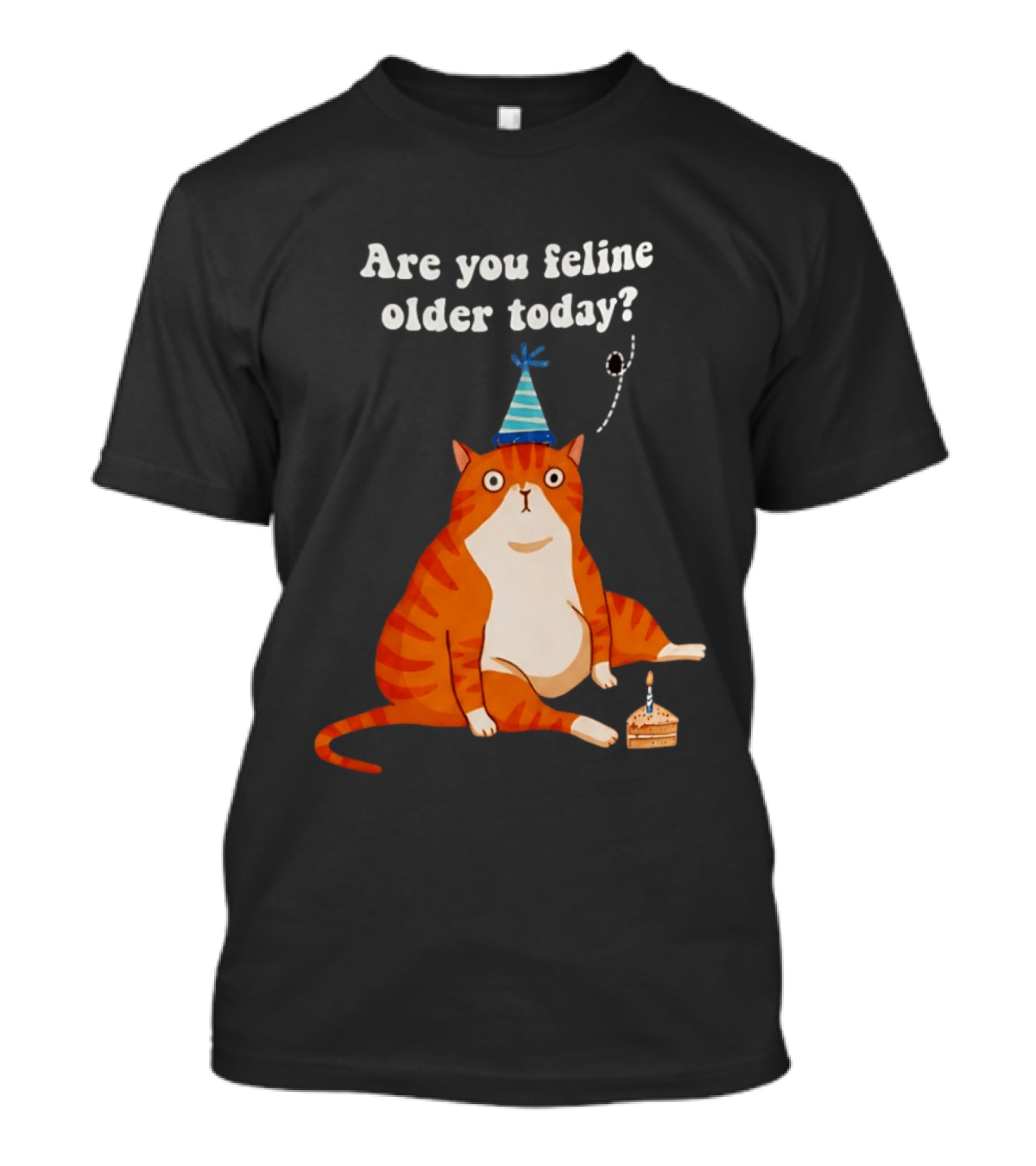 Are You Feline Older Today Birthday Cat With Party Hat And Cake T-Shirt