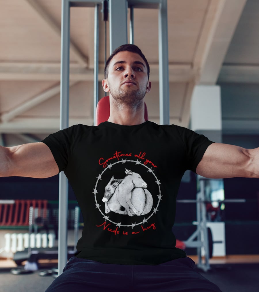 Sometimes All Your Needs Is A Hug Cuddling Donkeys Barbed Wire T-Shirt