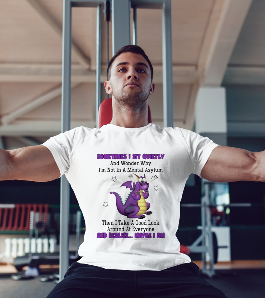 Sometimes I Sit Quietly Wonder Why I'm Not In A Mental Asylum Dragon Realize Maybe I Am T-Shirt