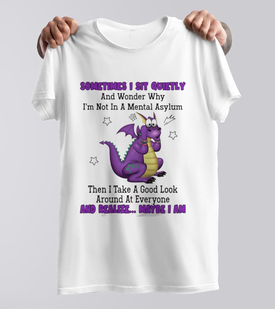 Sometimes I Sit Quietly Wonder Why I'm Not In A Mental Asylum Dragon Realize Maybe I Am T-Shirt