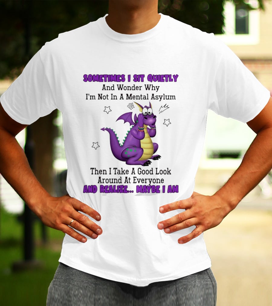 Sometimes I Sit Quietly Wonder Why I'm Not In A Mental Asylum Dragon Realize Maybe I Am T-Shirt