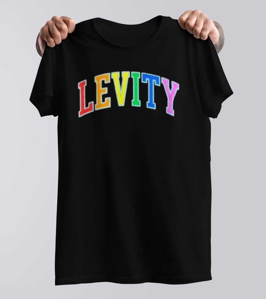 Levity You Will Now Experience Levity T-Shirt