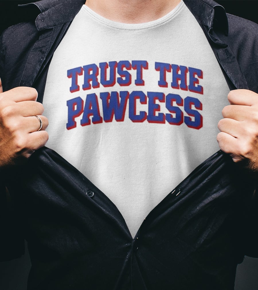 Trust The Pawcess Blue Red Arched 3D Wood Grain T-Shirt