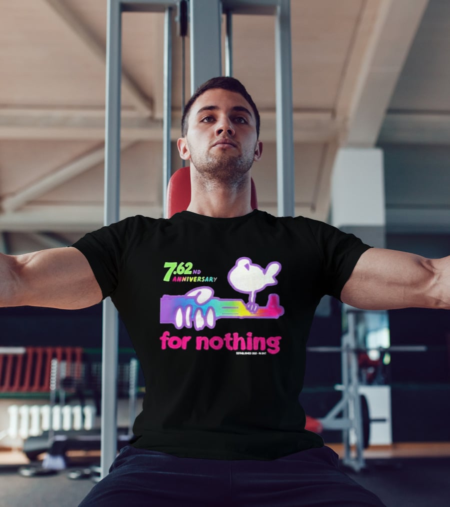 7.62nd Anniversary For Nothing Rainbow Dove Peacemaker T-Shirt
