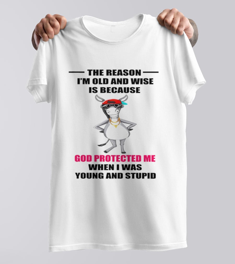 The Reason I'm Old And Wise God Protected Me When I Was Young And Stupid Cool Cow With Cap And Chains T-Shirt