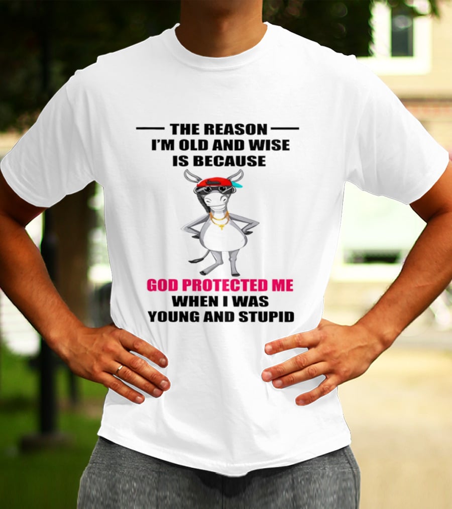 The Reason I'm Old And Wise God Protected Me When I Was Young And Stupid Cool Cow With Cap And Chains T-Shirt