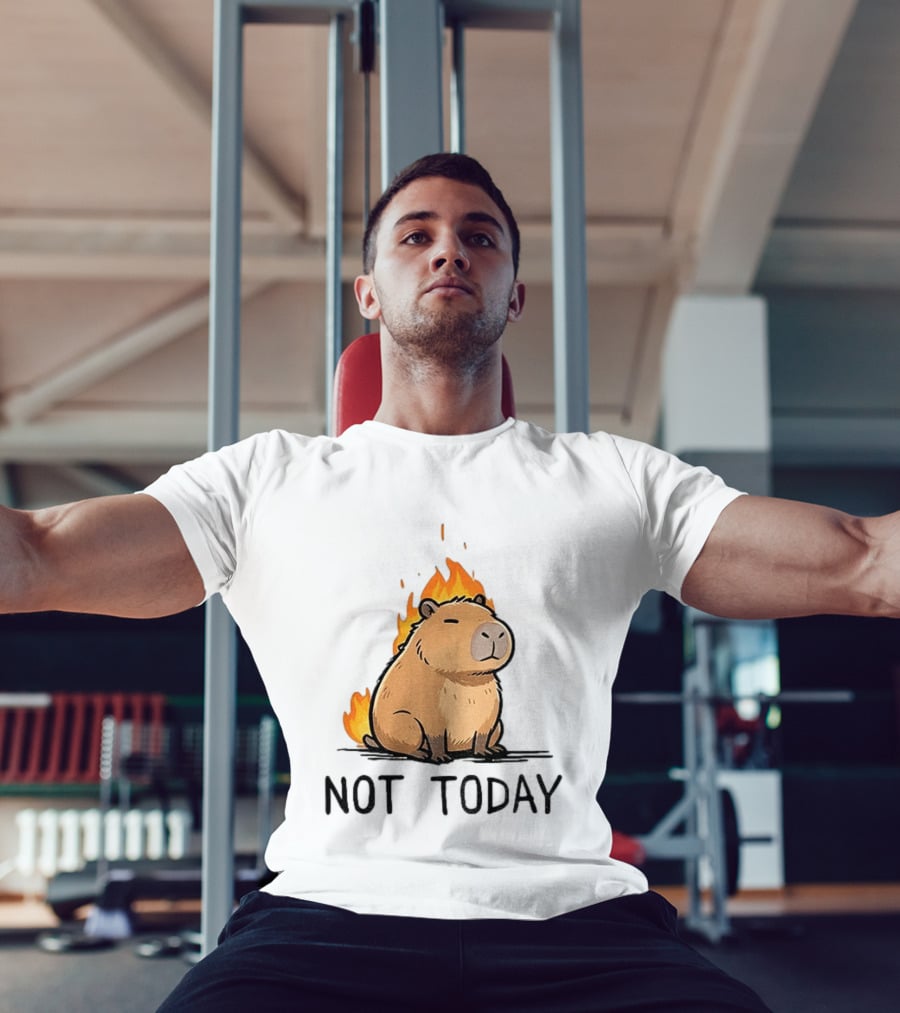 Capybara On Fire Not Today Calm Meme T-Shirt