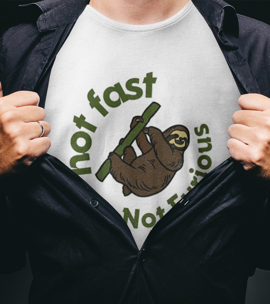 Not Fast Not Furious Sloth Climbing T-Shirt