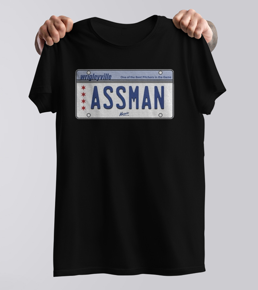 Wrigleyville Assman License Plate One Of The Best Pitchers In The Game T-Shirt
