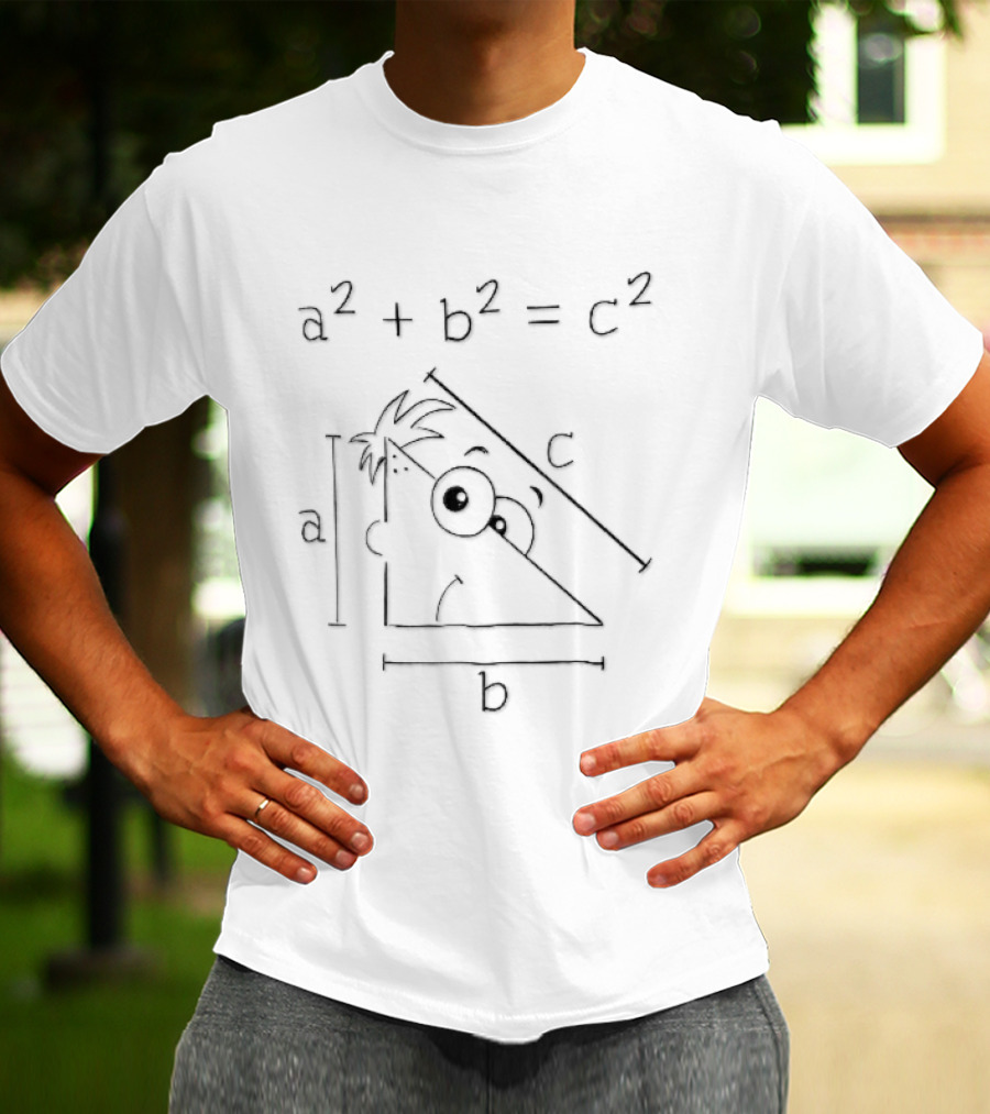 A2 Plus B2 Equals C2 Math Humor Cartoon Triangle T-Shirt