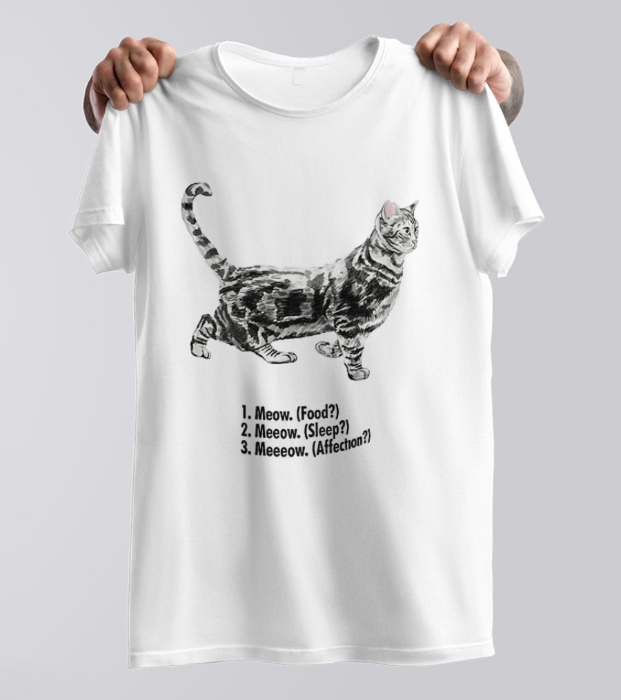 Meow Food Meeow Sleep Meeeow Affection Cat Lovers Humor T-Shirt