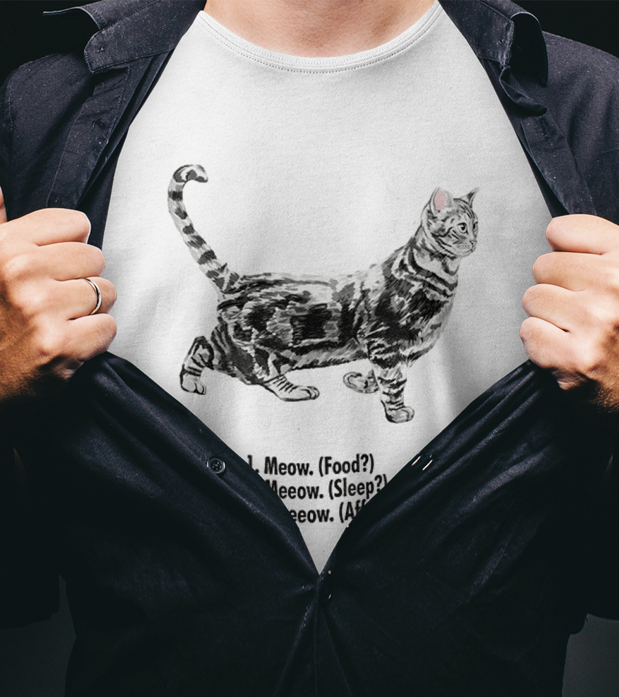 Meow Food Meeow Sleep Meeeow Affection Cat Lovers Humor T-Shirt