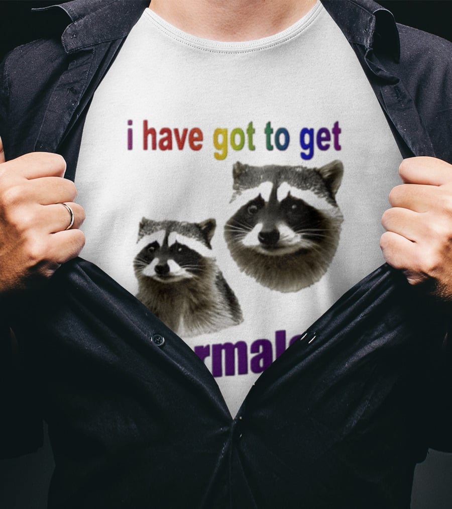 Raccoons I Have Got To Get Normaler Fun Colorful Phrase T-Shirt