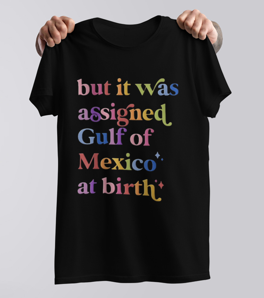 But It Was Assigned Gulf Of Mexico At Birth Rainbow T-Shirt