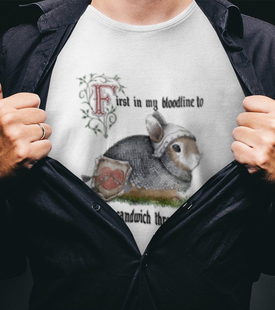 First In My Bloodline To Finance A Sandwich Through Klarna Knight Bunny Chainmail Shield T-Shirt
