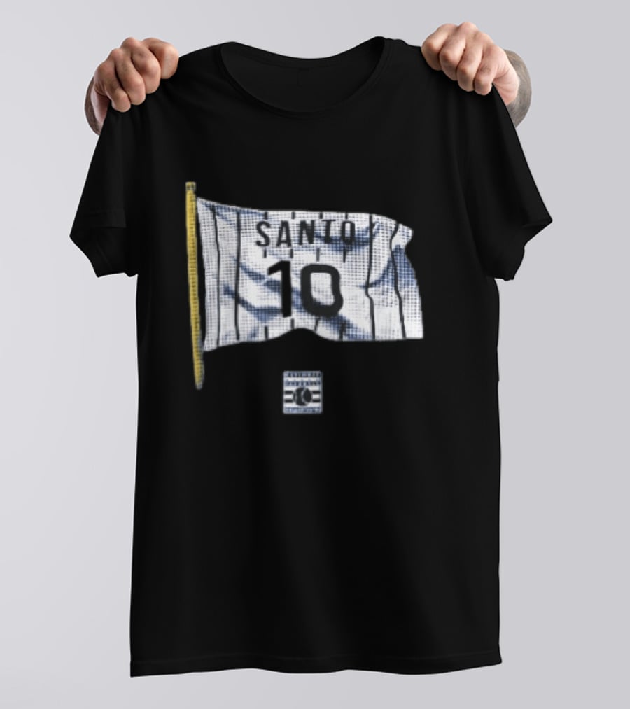 Santo 10 Baseball Hall Of Fame Pinstripe Flag T-Shirt