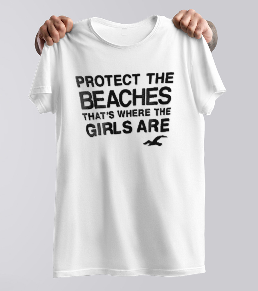 Hollister Co Protect The Beaches Girls Are Flying Seagull T-Shirt
