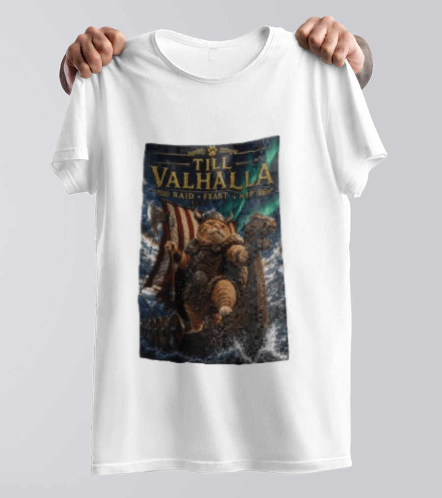Till Valhalla Raid Feast Nap Viking Cat On Longship With Northern Lights T-Shirt