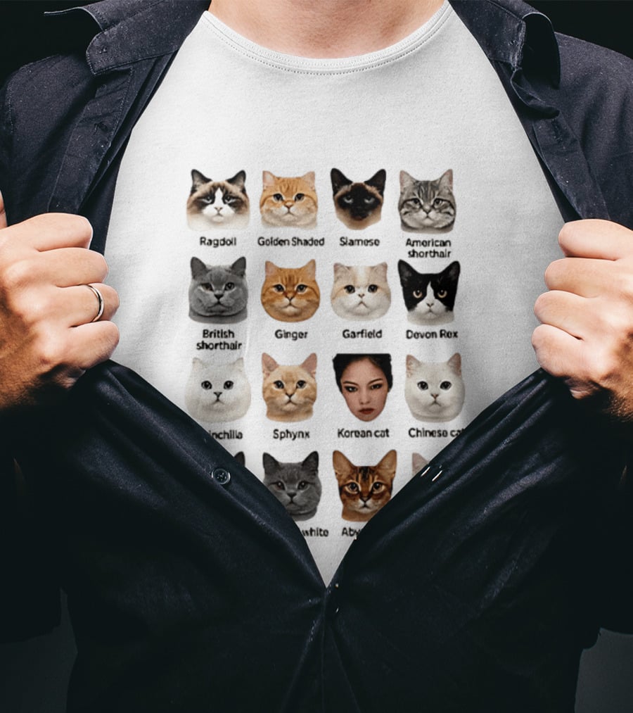 Kpop Cat Breed Chart Korean Cat Jennie Blackpink Meme T-Shirt