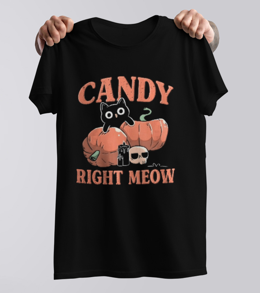 Candy Right Meow Black Cat Pumpkins Candles Skull Halloween T-Shirt