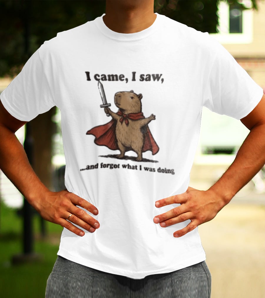 I Came I Saw Capybara Wearing Red Cape Holding Sword Forgot What I Was Doing T-Shirt