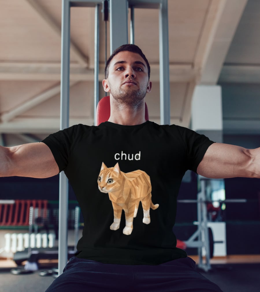 Chud Low Poly Geometric Orange Tabby Cat T-Shirt