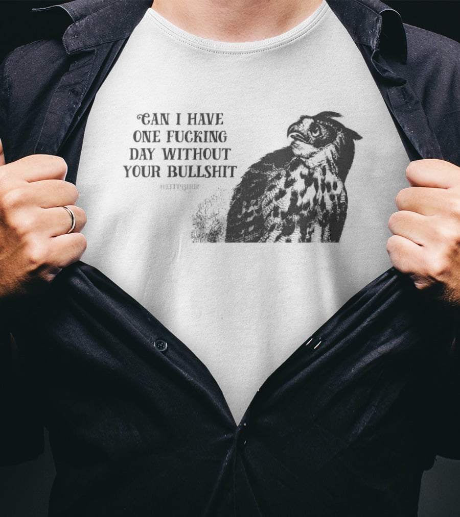 Can I Have One Fucking Day Without Your Bullshit Effinbirds T-Shirt
