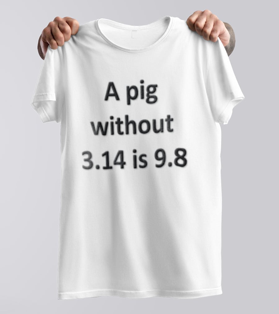 A Pig Without 3.14 Is 9.8 Black Minimalist Clever Play On Words T-Shirt