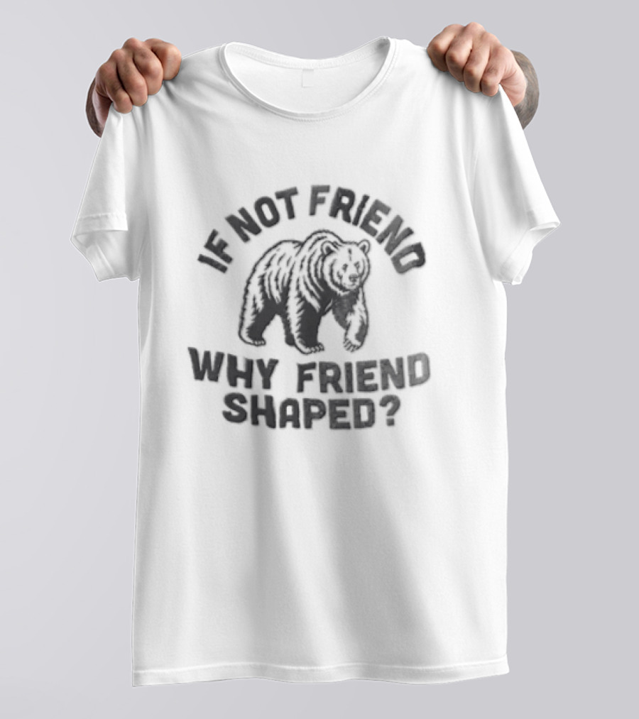 If Not Friend Why Friend Shaped Bear T-Shirt