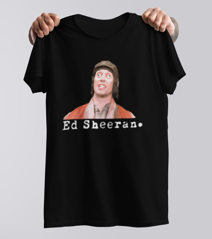 Ed Sheeran Steve Buscemi Meme Face Mashup T-Shirt