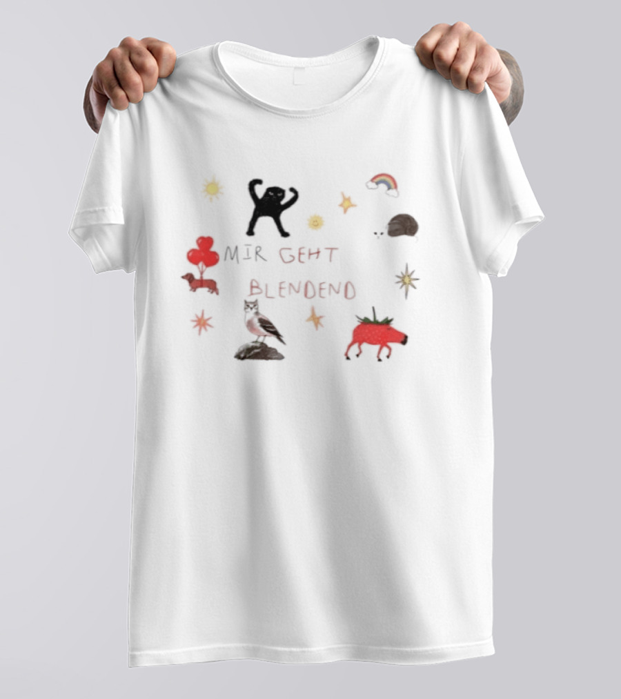 Mir Geht Es Blendend Cat Snail Strawberry Pig With Rainbow And Sun Doodles T-Shirt