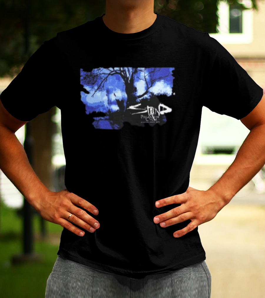 Staind Break The Cycle 2026 25th Anniversary Tour Tree Blue T-Shirt