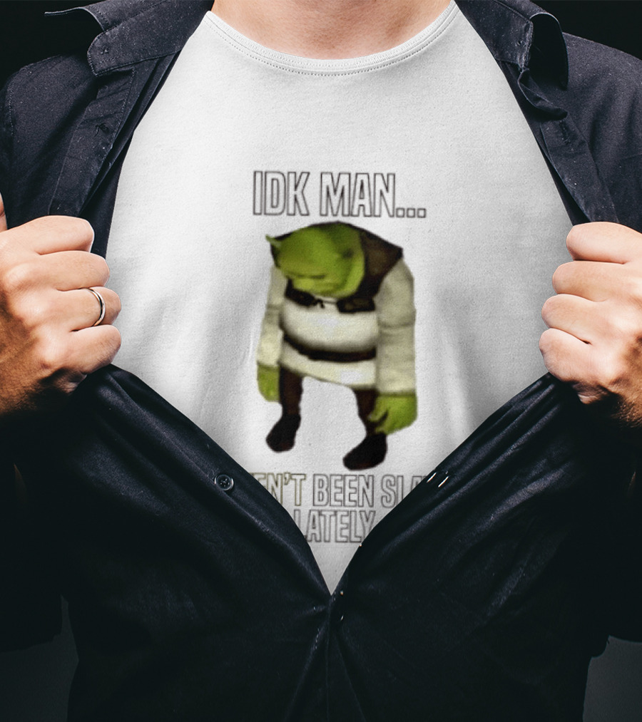 IDK Man Shrek I Haven't Been Slaying Lately Meme Text Image Iconic Movie T-Shirt
