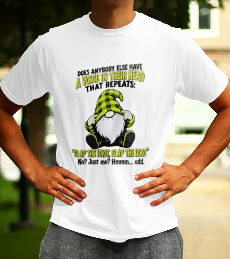 Does Anybody Else Have A Voice In Their Head That Repeats Slap The Idiot Slap No Just Me Hmmm Odd Gnome In Green Hat T-Shirt