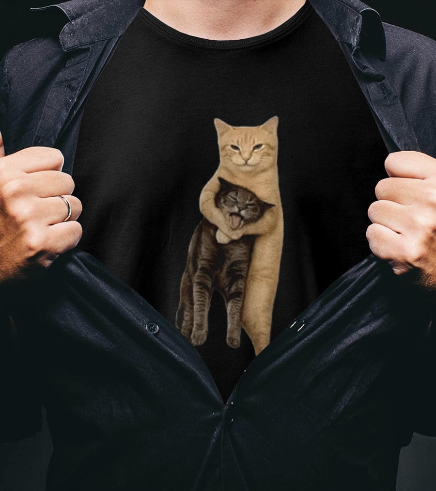 Orange Cat Hugging Grey Cat T-Shirt