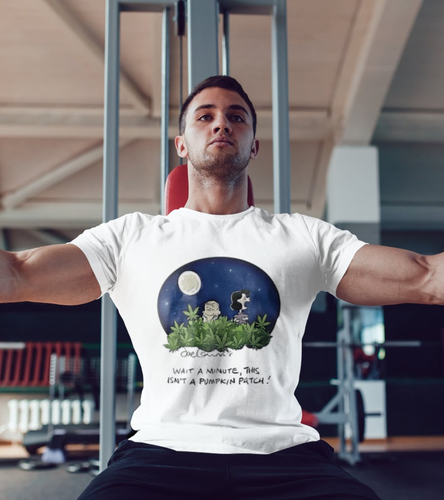 Peanuts Wait A Minute This Isn't A Pumpkin Patch Moon Night Scene Charlie Brown Lucy T-Shirt